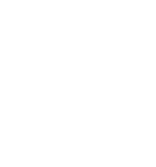 logo light